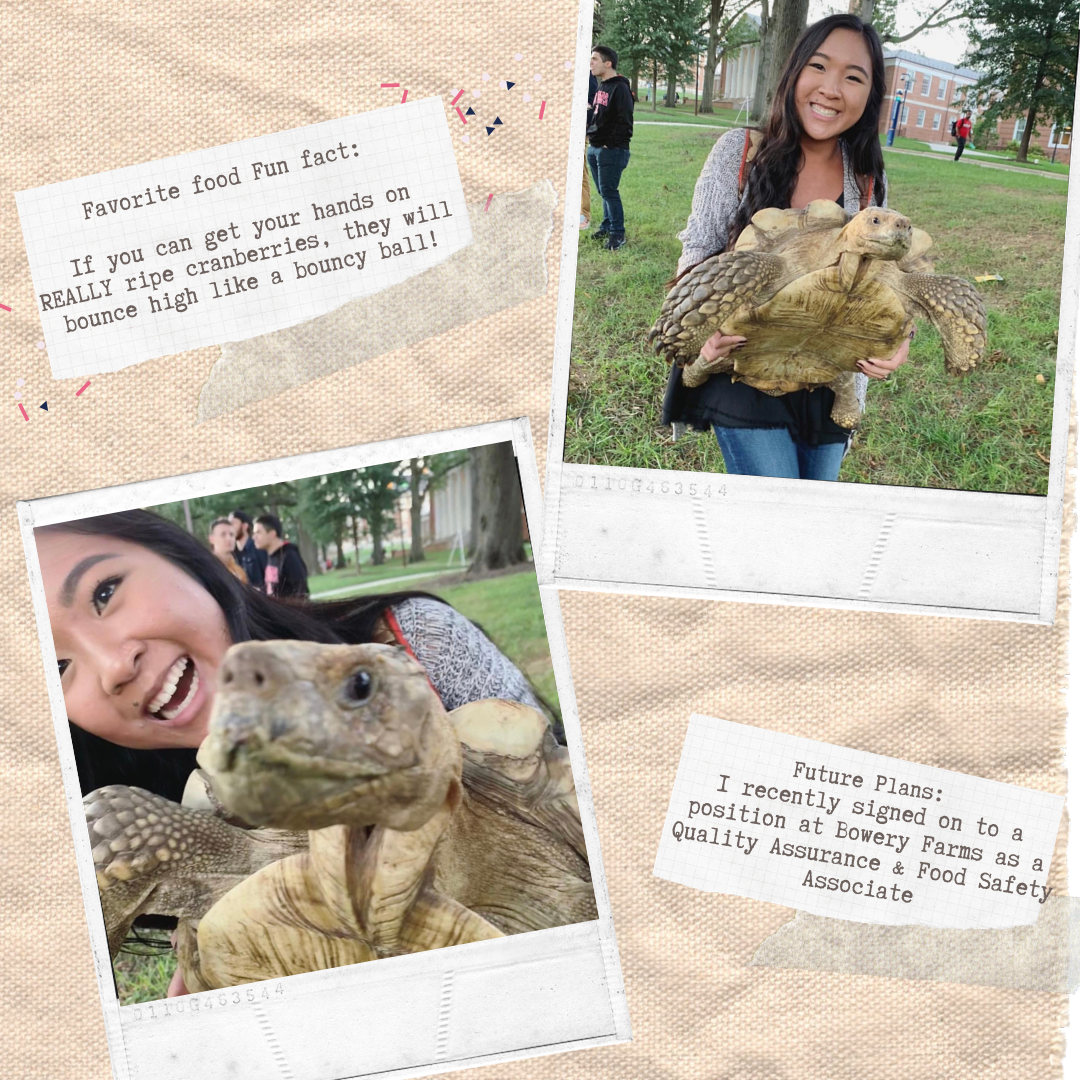 pictures of 2020 seniors