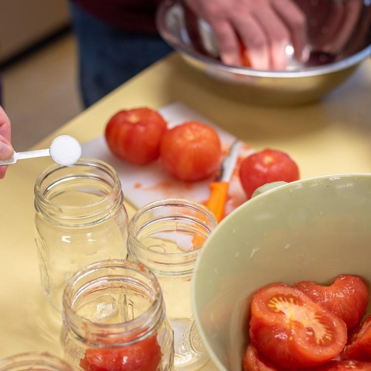 tomatoes being processed